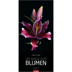 Weingarten, Kalender, Die Magie der Blumen Kalender 2027