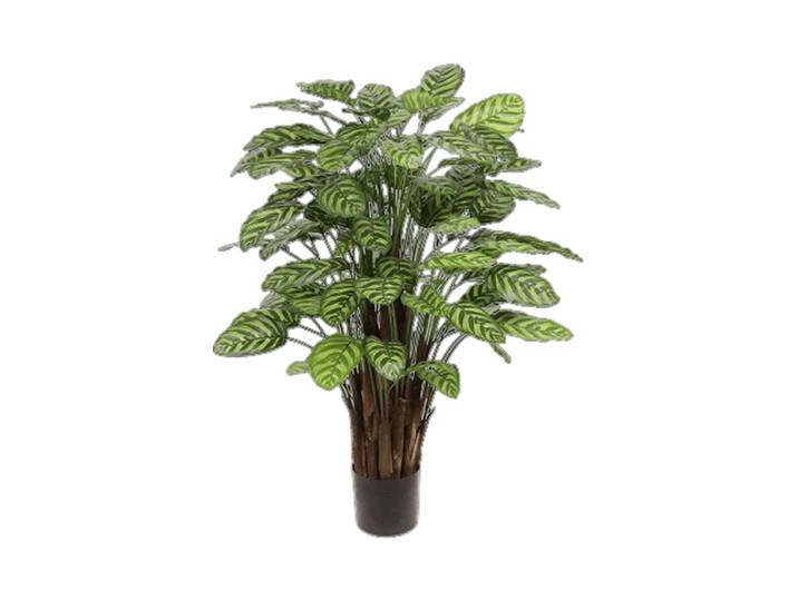 Lebensechte Kunstpflanze „Calathea Makoyana“, Ø 80 x 115 cm Grün, Rot Baq Design