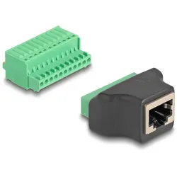 DELOCK RJ50 Buchse zu Terminalblock Adapter mit Drucktaster