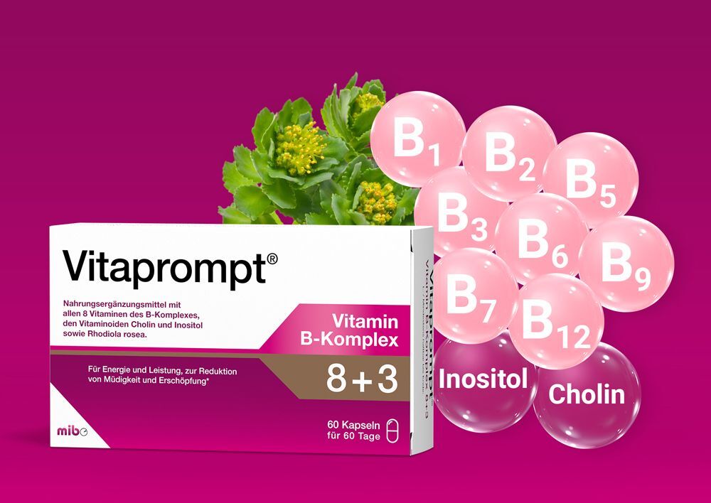No Brand Vitaprompt Vitamin B-Komplex 8+3 Kapseln 60 St