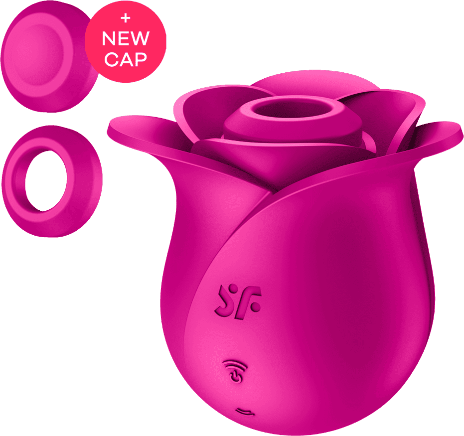 Satisfyer Stimulateur de clitoris rose Pro 2 Modern Blossom