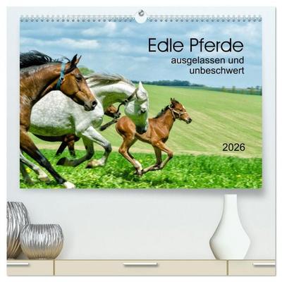 Edle Pferde - ausgelassen und unbeschwert (hochwertiger Premium Wandkalender 2026 DIN A2 quer), Kunstdruck in Hochglanz