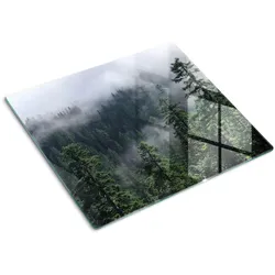 GLASPLATTE 60x52 cm Waldnebel