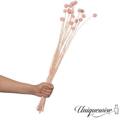 Uniquewise Preserved Real Floral Stems Chic Vase Fillers & Accents for Bouquets Centerpieces & Ornamental Displays