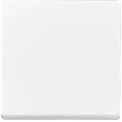 Busch-Jaeger 6735BT-84 Wippe 1-fach für Bedienelement Smart Switch Plattform 63 2CKA006730A0145 6735BT84
