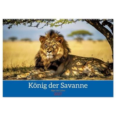 Löwen der Savanne (Wandkalender 2027 DIN A2 quer), CALVENDO Monatskalender