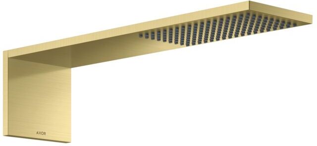 Hansgrohe ShowerComposition Kopfbrause 12592950 110x220mm, Wandmontage, 1jet, brushed brass