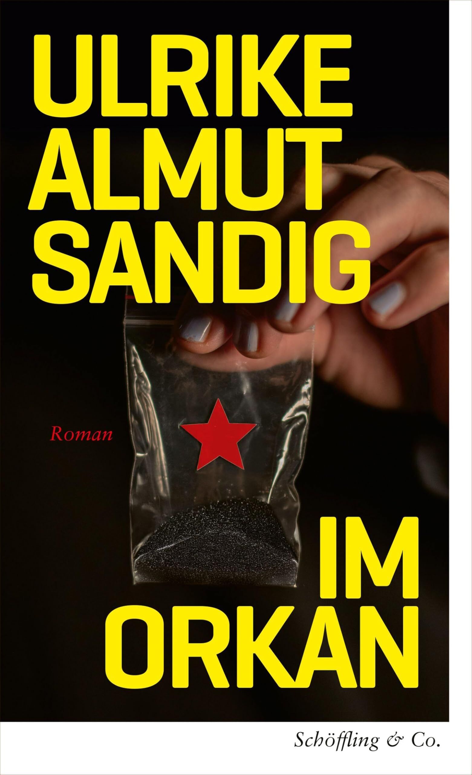 Sandig, Ulrike Almut - Im Orkan - Preis vom 16.10.2026 11:41:07 h