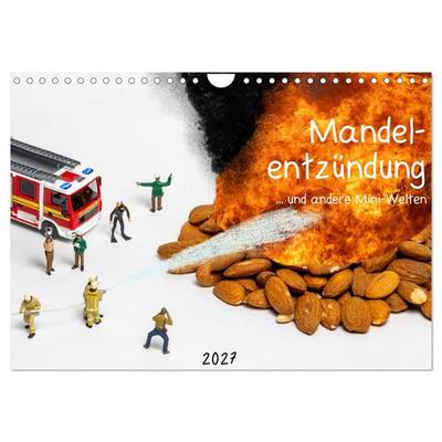 Mandelentzündung... und andere Mini-Welten (Wandkalender 2027 DIN A4 quer), CALVENDO Monatskalender