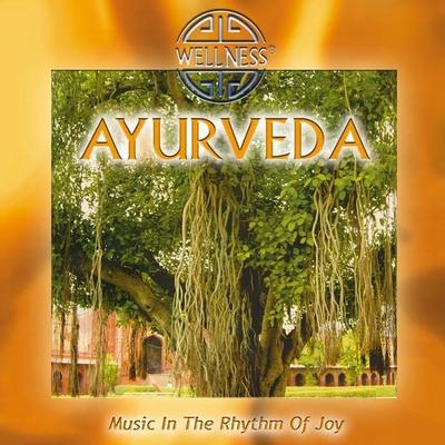 Ayurveda - Music In The Rhythm Of Joy - Guru Atman, CD