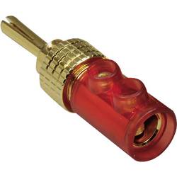 TRU COMPONENTS Bananenstecker Stecker, gerade Stift-Ø: 4 mm Rot 1 St. 1582246