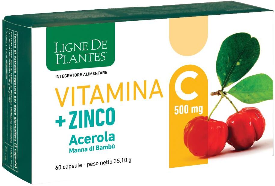 NATURA SERVICE Srl Vitamina C + Zinco - Integratore per il Sistema Immunitario e la Salute della Pelle