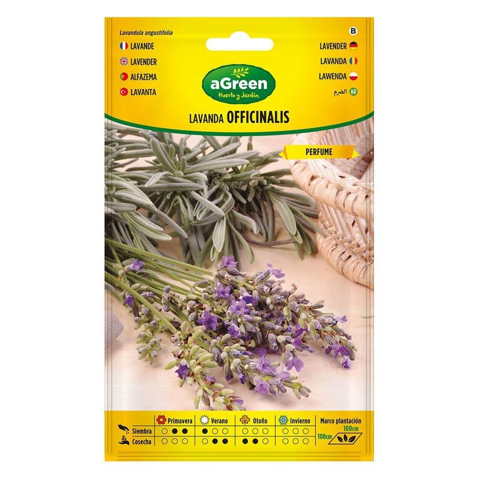 Agreen On seeds lavender officinalis 301031bolsh (Kräutersamen) (49406416)