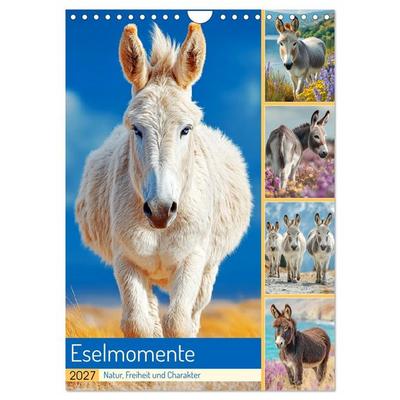 Eselmomente. Natur, Freiheit und Charakter (Wandkalender 2027 DIN A4 hoch), CALVENDO Monatskalender