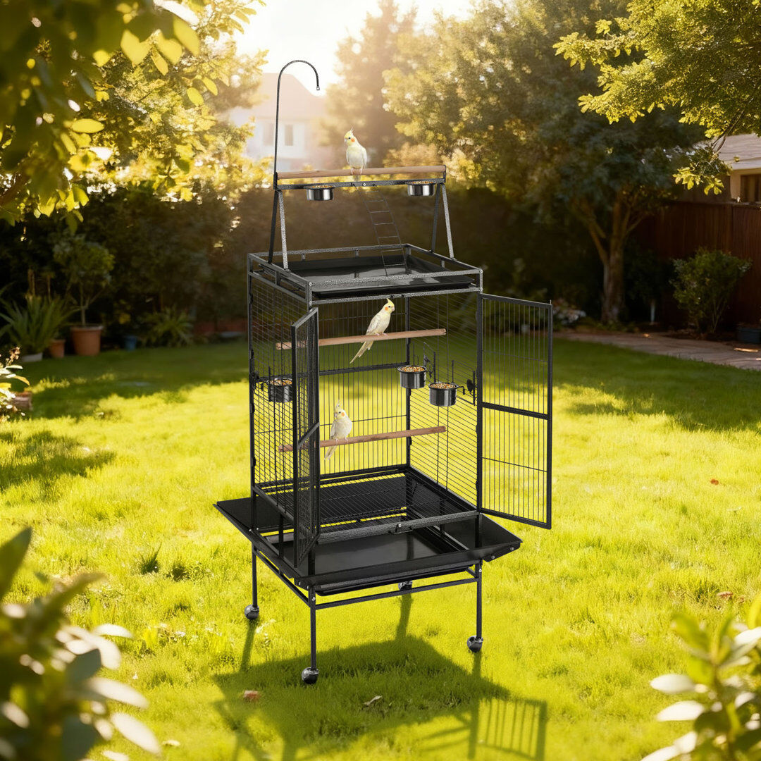 Archie & Oscar 210cm Iron Flight Cage Black 210cm H X 83cm W X 79cm D