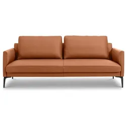 Segmüller Werkstätten Sofa Silenzio02 Leder Braun Cognac