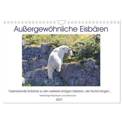 Das Leben der etwas 'anderen' Eisbären! (Wandkalender 2027 DIN A4 quer), CALVENDO Monatskalender