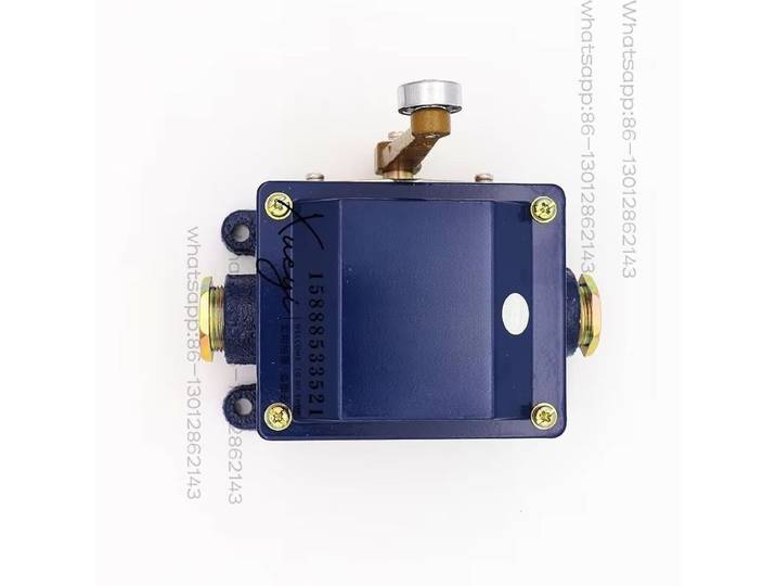2026 1 pièce Interrupteur de fin de course marin LX918-120/11L/Z/S/G, interrupteur de déplacement étanche avec poignée réglable, 500V