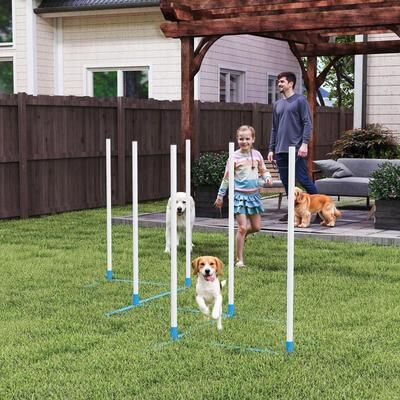 Multicon Wholesale Hub Dog Agility Weave Pole Set Exercise Kit For Outdoor Training & Fun Dog Agility Weave Pole Set Exercise Kit For Outdoor Training & Fun