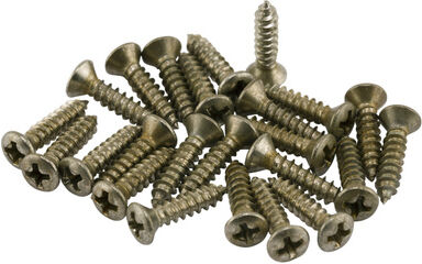 Fender Roadworn Pkgrd Plate Screws