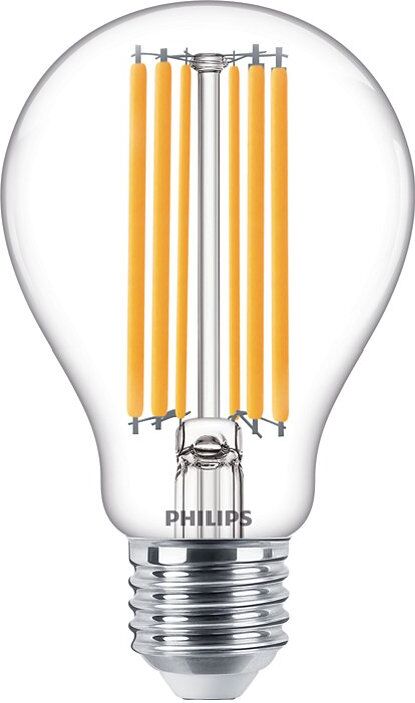 Lampadina led Philips