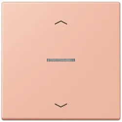 Jung Wippe mit Lichtleiter LC 101 KO5P 231