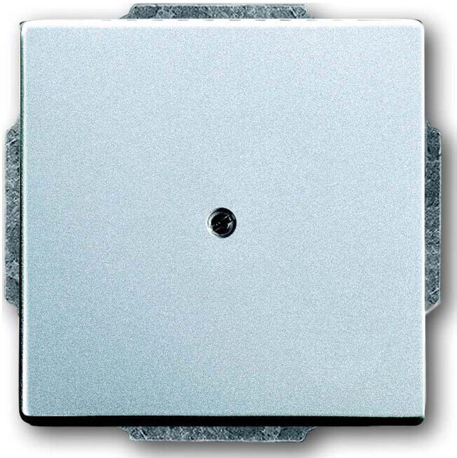 Busch-Jaeger Rosace centrale alusi aveugle avec bague de fixation 1742-83 (2CKA001710A3664)
