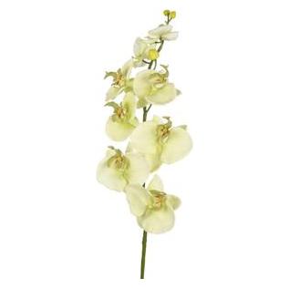 Künstliche Blume Orchidee Creme 85 Cm (85 cm) (52787823)