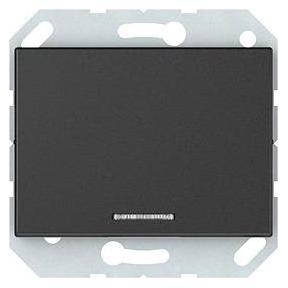 Vila Control Switch Flush No Frame Ant Xp (Switch) (477910121702)