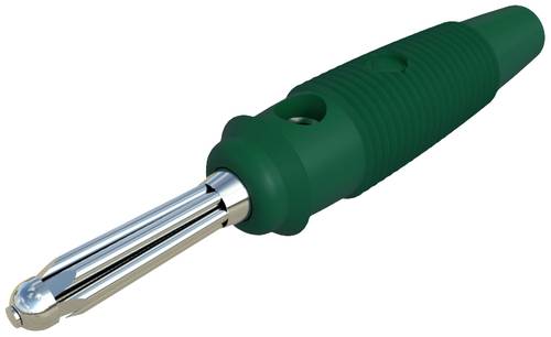 Hirschmann Test & Measurement BUELA 30 K Büschelstecker Stecker, gerade Stift-Ø: 4mm Grün