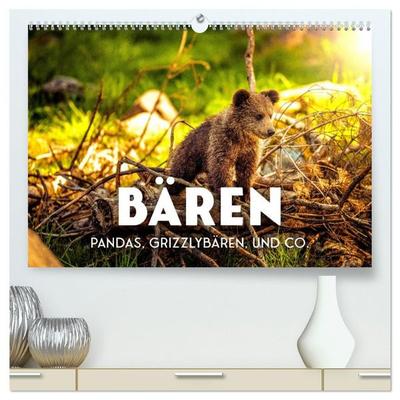 Bären - Pandas, Grizzlybären und Co. (hochwertiger Premium Wandkalender 2027 DIN A2 quer), Kunstdruck in Hochglanz