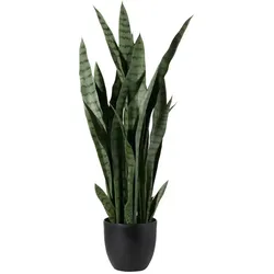 Sansevieria getopft   ¦ grün ¦ Kunststoff ¦ Maße (cm): H: 39