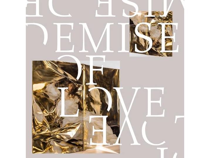 Demise Of Love