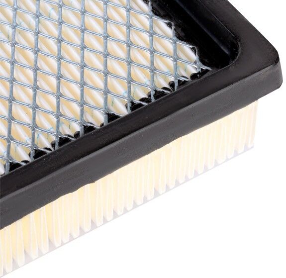 Champion CAF100685P Air filter