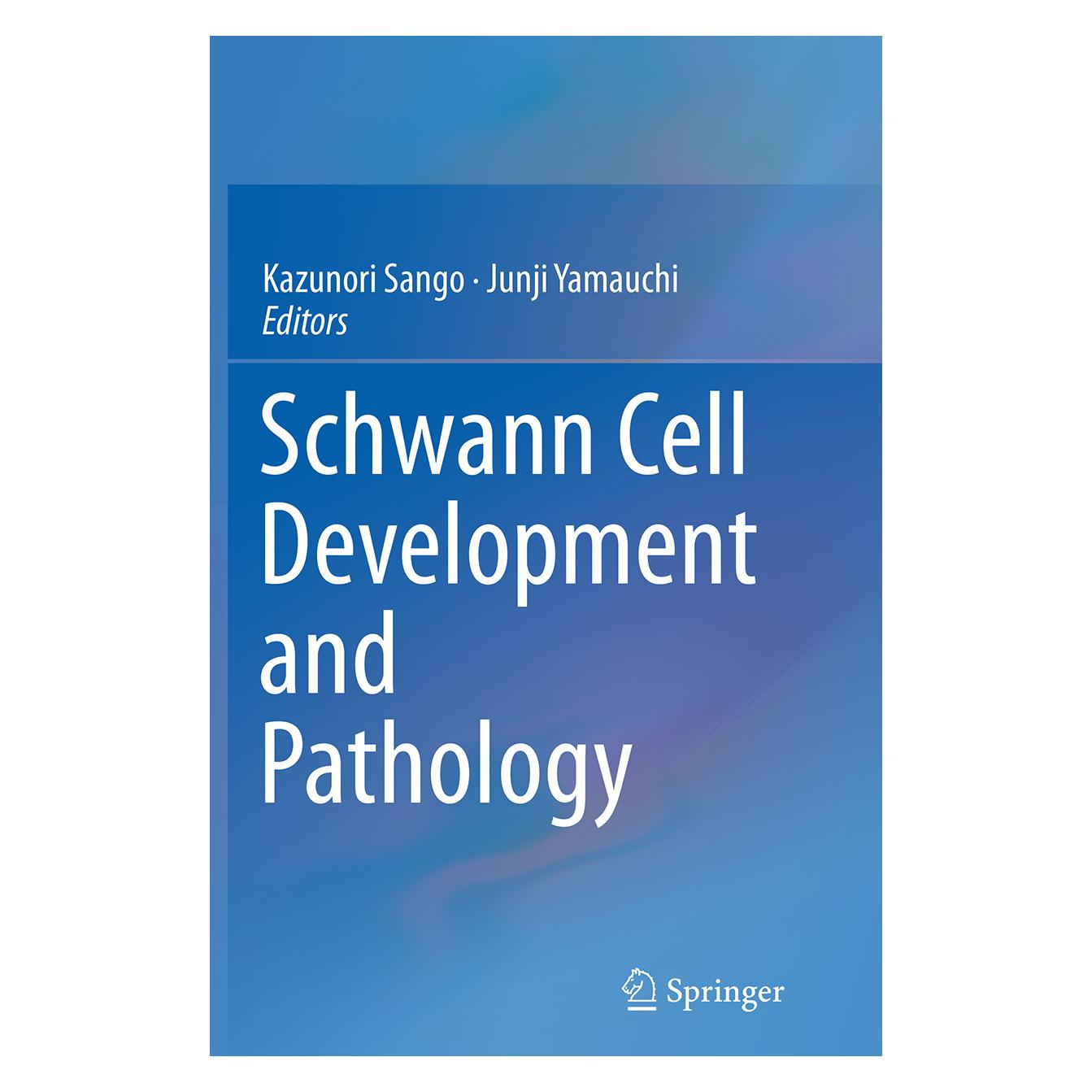 Springer Schwann Cell Development and Pathology (Englisch, Softcover, Junji Yamauchi, Kazunori Sango) (55831518)