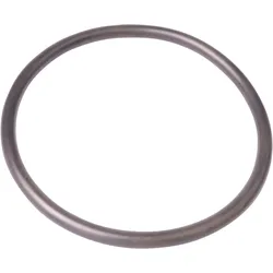Oase O-Ring NBR 156 x 10 SH70 (27669)