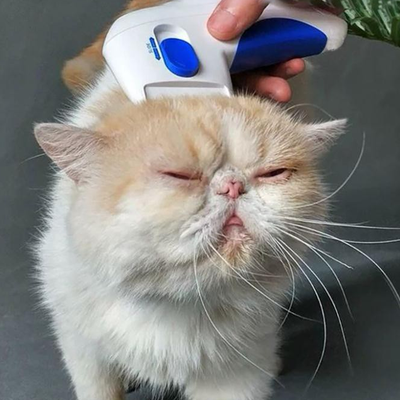PetsAreLife Electric Pet Comb Effective Flea And Lice Remover For Long & Short Haired Pets, Gift For Pet Lovers Electric Pet Comb Effective Flea And Lice Remover For Long & Short Haired Pets, Gift For Pet Lovers