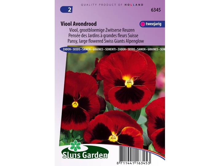 Viola Wittrockiana zaden Avondrood viooltje