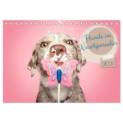 Hunde im Naschparadies... wo jeder Monat zum Anbeißen ist (Tischkalender 2027 DIN A5 quer), CALVENDO Monatskalender