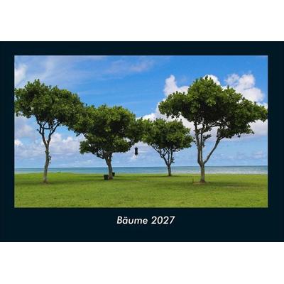 Bäume 2027 Fotokalender DIN A4