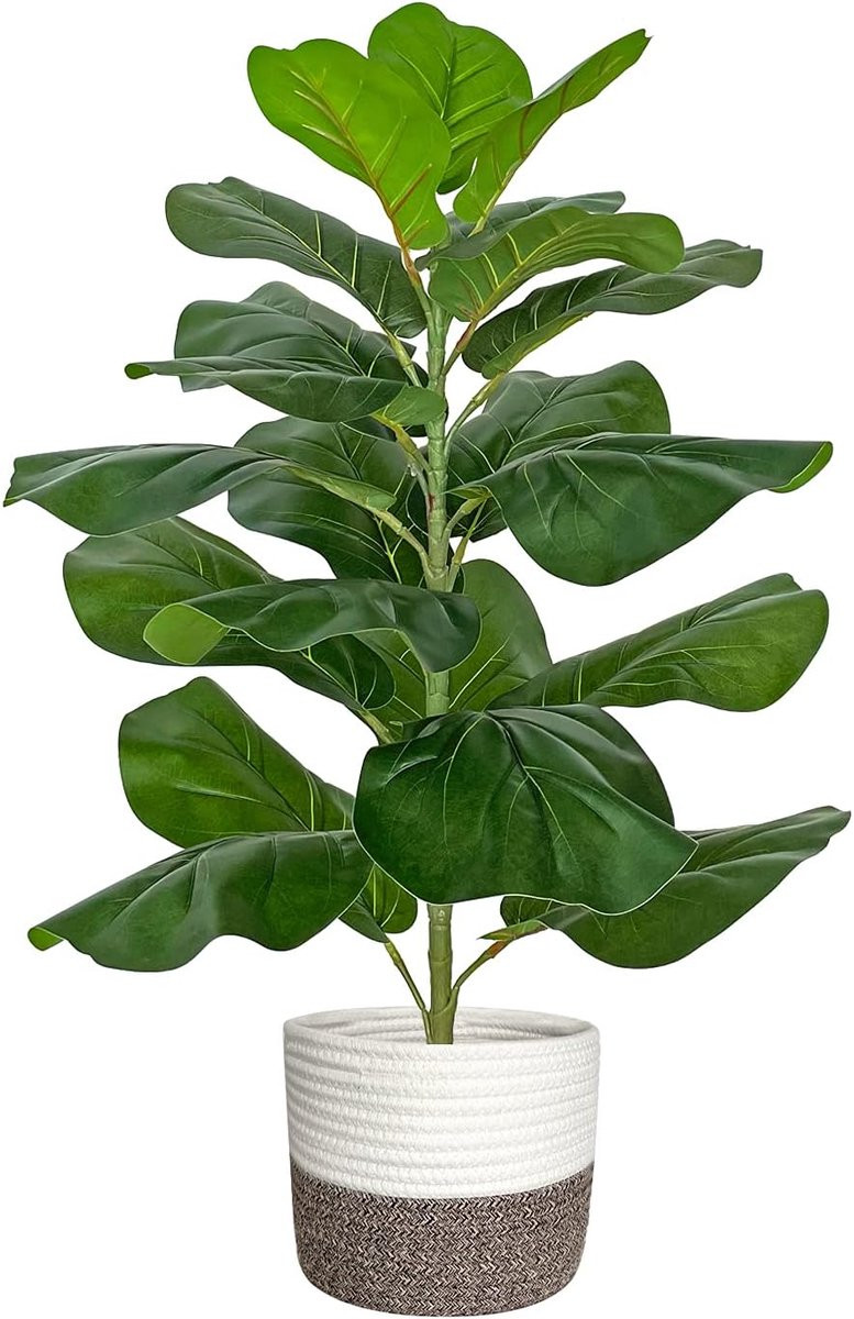 Kunstmatige vijgenboom Ficus Lyrata met katoenen touwmand, Hoogte: 77,5 cm