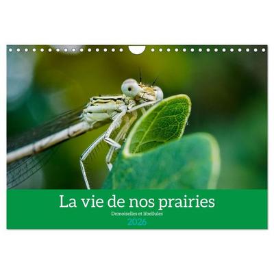 La vie de nos prairies - Demoiselles et libellules (Calendrier mural 2026 DIN A4 vertical), CALVENDO calendrier mensuel