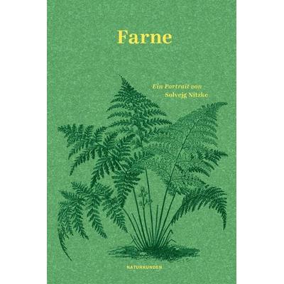 Farne, Gebundene Ausgabe von Solvejg Nitzke, Matthes & Seitz, 978-3-7518-4021-7