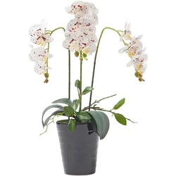 KUNSTBLUME Orchidee weiß-pink im Deko-Topf, 56 cm