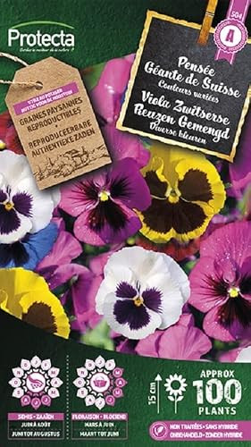 Protecta Bloemenzaden: Viooltje Zwitserse Reuzen Gemengd