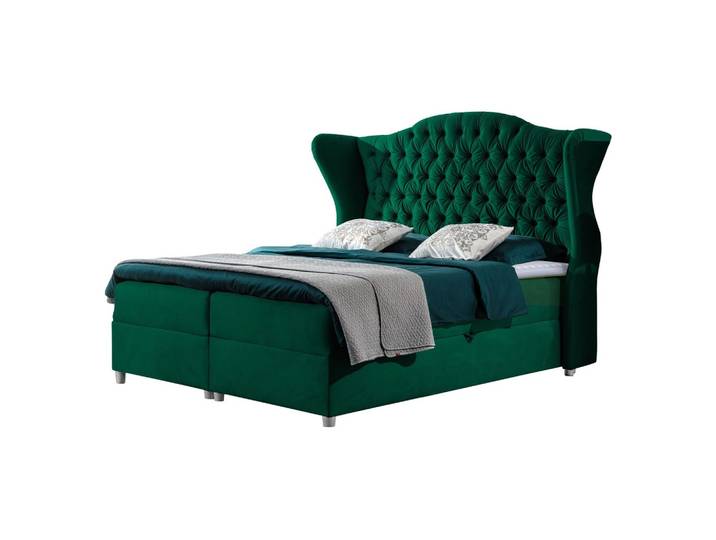 BOXBETT Livia - H3