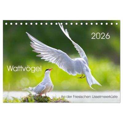 Wattvögel an der Friesischen IJsselmeerküste (Tischkalender 2026 DIN A5 quer), CALVENDO Monatskalender