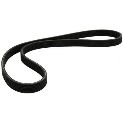 MAPCO Keilrippenriemen 271360D für Ford