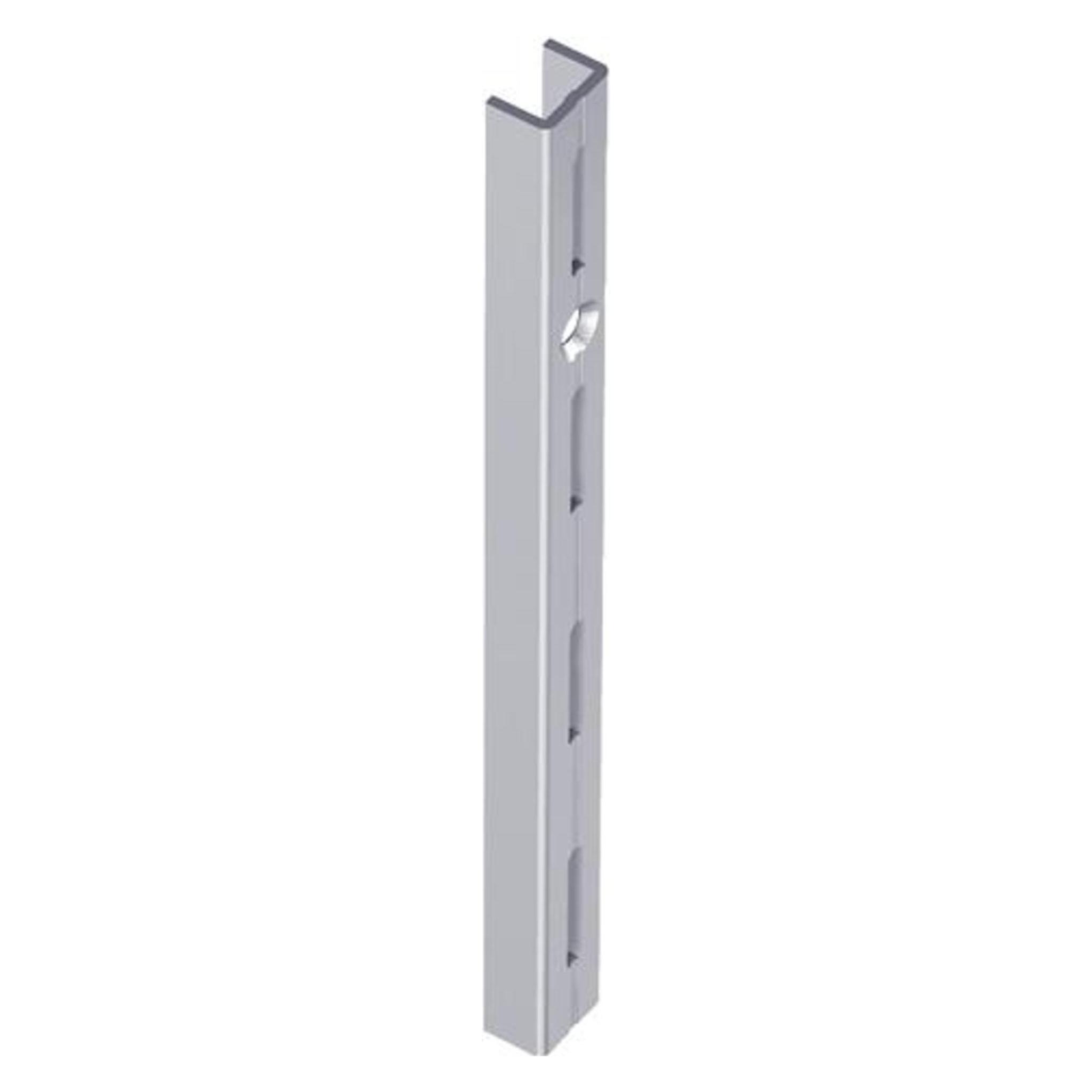 Element-System Wandschiene (10000-00044)