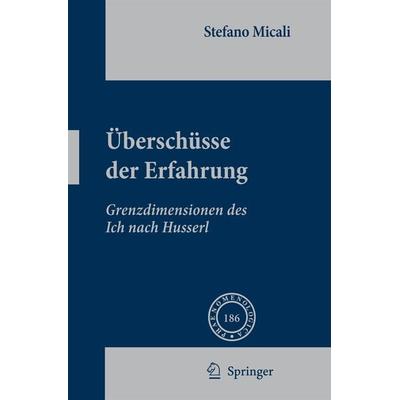 Überschüsse der Erfahrung, Gebundene Ausgabe von Stefano Micali, Springer Netherland, 978-1-4020-8388-4